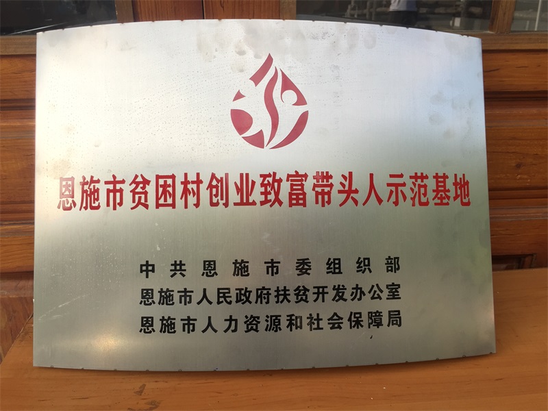 9-恩施市貧困村創業致富帶頭人示范基地.jpg