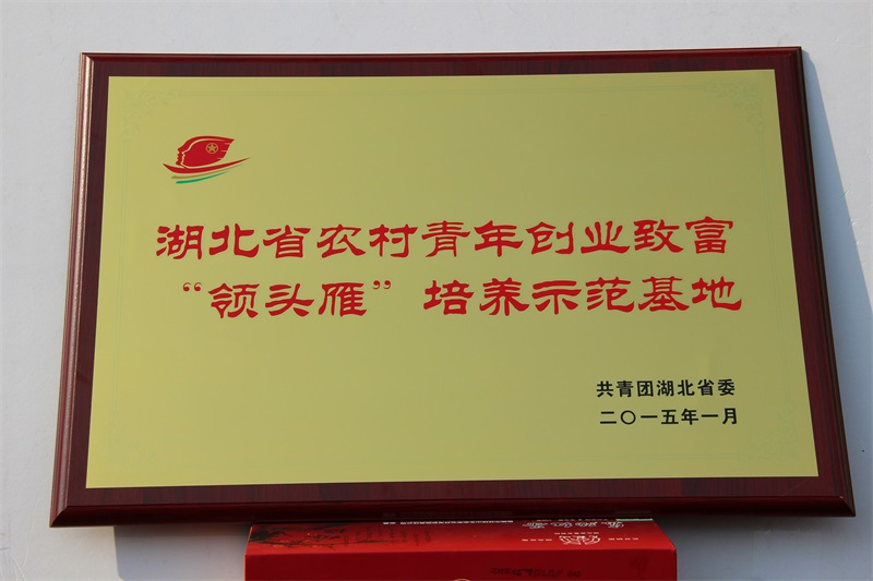 8-領頭雁示范基地.jpg