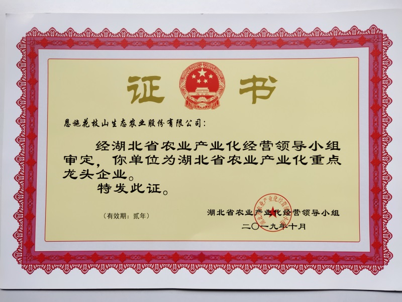 1.省龍頭企業證書.jpg